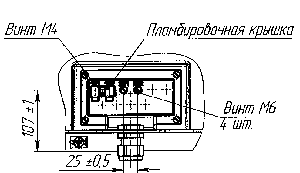 Рис. А.З - Клеммник трансформатора тока ТОЛ-СВЭЛ-35 IIIM-2.1 (2.2) с двумя вторичными обмотками